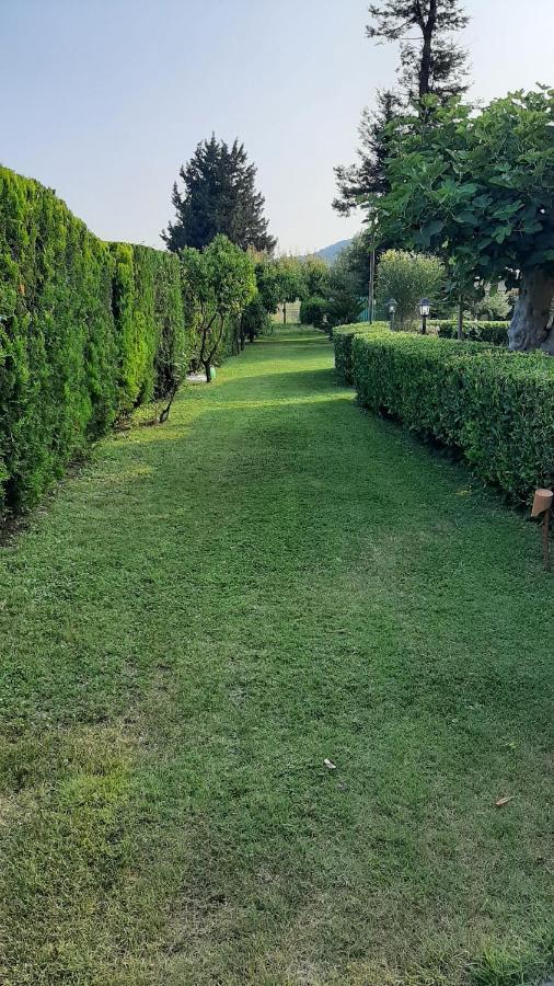 مبيت وإفطار كاستيلنووفو تْشيلينتو Casale Battaglini المظهر الخارجي الصورة